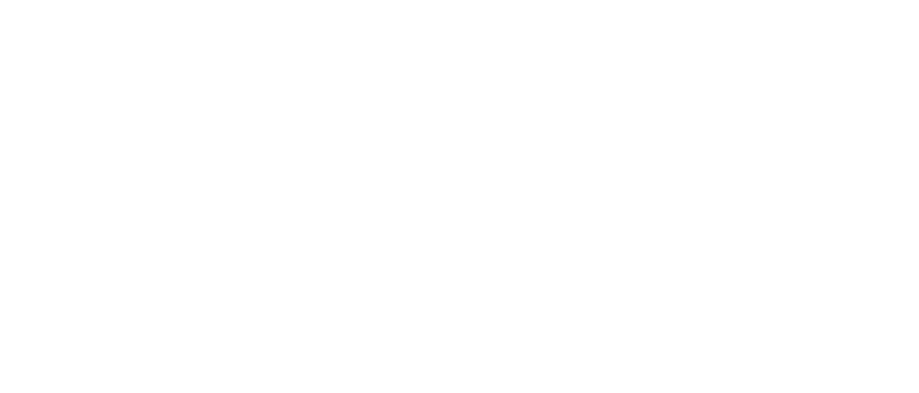 We have four guiding pillars at the YMCA Geelong. These pillars are community wellbeing, meaningful work, sustainable...
